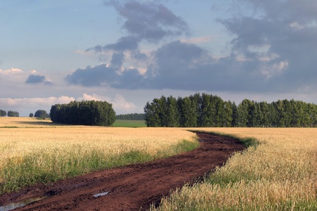 Russian roads, sunny day after rainの写真素材