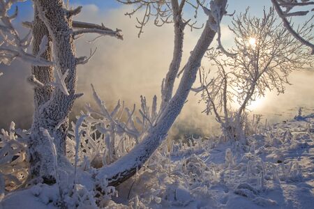 sunny winter day on the river Kama