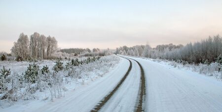 sunrise frosty winter morning in the meadowsの写真素材