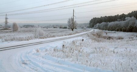 walk in winter forest after a snowfallの写真素材
