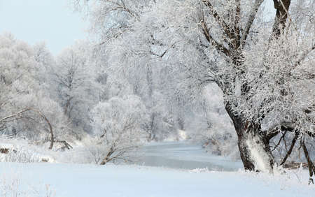 winter