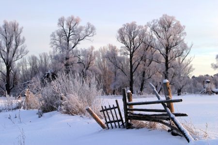 a long walk in nature snowy Russian winterの写真素材