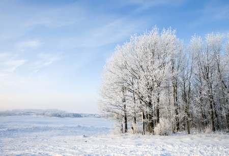 Walk through the beautiful winter scene in Russiaの写真素材