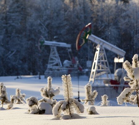 Walk through the beautiful places frosty Russian winterの写真素材