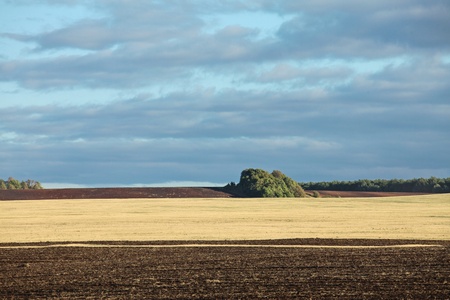 walk across the vast Russian summer meadows