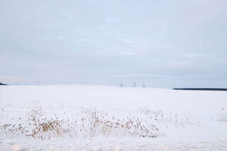 scenic winter landscape Russian fields with few trees and shrubs in frostの写真素材