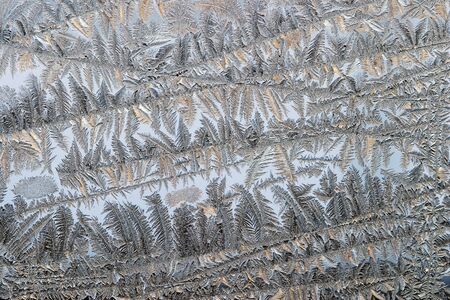close-up of frost in winter