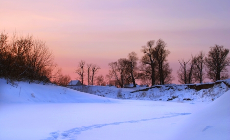 beautiful winter landscape of the river and the trees in the eveningの写真素材