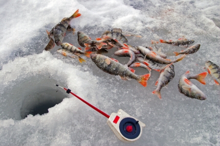close up ice fishing for the perch fishの写真素材