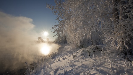 a long walk along the river in winter