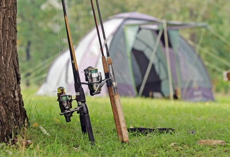 fishing rods neatly standing near a treeの写真素材
