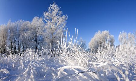 The long winter walk clear, sunny dayの写真素材