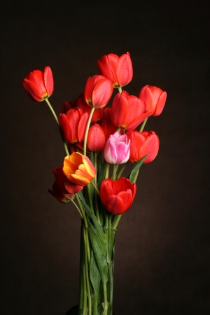beautiful bouquet of spring flowers. studio shootingの写真素材