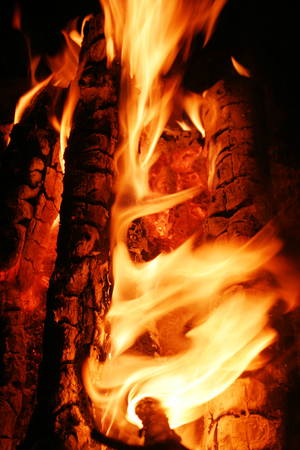 macro campfire at nightの写真素材