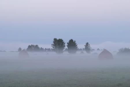 landscape of dense fog in the field at sunrise in late summerの写真素材