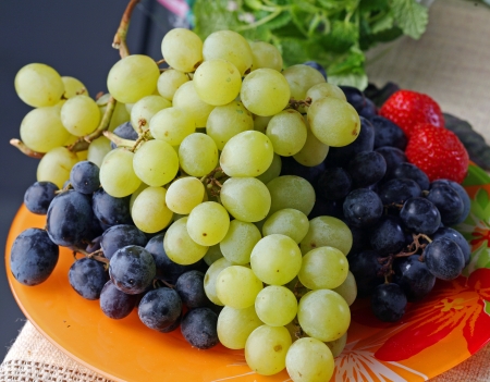 close-up black and green grapes on an orange plateの写真素材