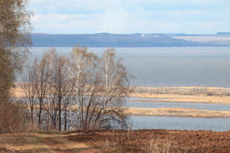 long autumn walk in the woods and fieldsの写真素材