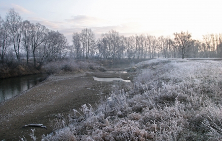beginning of winter landscape on the river near the shore groves and trees covered with frost at sunsetの写真素材