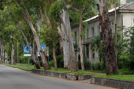 urban landscape of the seaside town of Gagra summer cloudy dayの写真素材