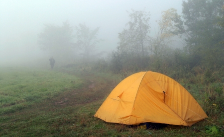 landscape of dense fog in the field at sunrise in late summerの写真素材