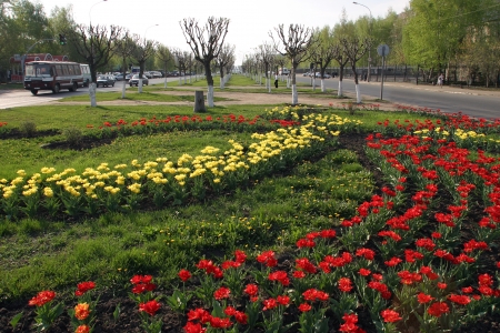 cityscape beautiful manicured flower beds on a city street in early springの写真素材