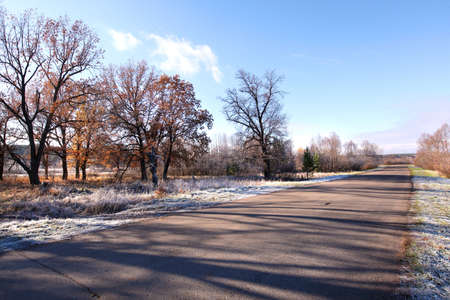 autumn landscape of desert road near the forest and frost on the grass on a cold morningの写真素材