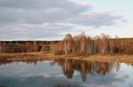 Early spring landscape at the lake with a mirror surface near the forest with no leavesの写真素材
