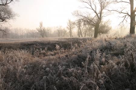 Landscape beginning of winter in the oak grove covered with frost at sunsetの写真素材