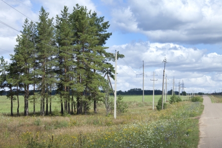 Summer landscape picturesque fields and meadows and power lines passing through themの写真素材