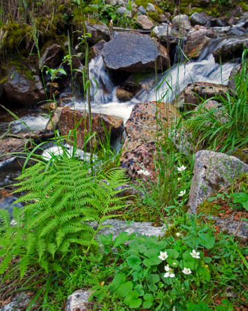 magnificent mountain landscape river, forest and cloudy sky in summerの写真素材