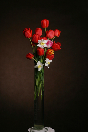 beautiful bouquet of spring flowers. studio shootingの写真素材