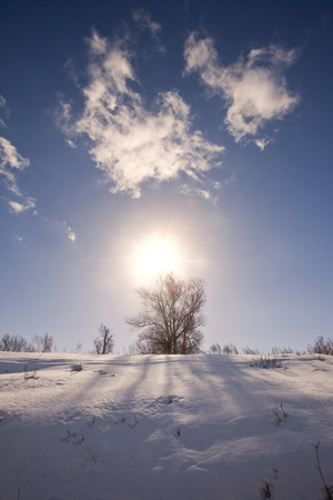 scenic winter landscape strange shadows from the trees in the snow on a bright sunny dayの写真素材