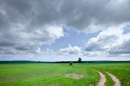 beautiful summer landscape green field, road leading to the horizon and beautiful clouds in the blue sky on a sunny dayの写真素材