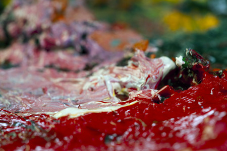 macro artist's palette, texture mixed oil paints in different colors and saturation studioの写真素材