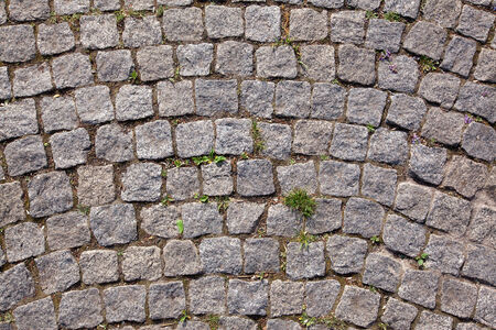 isolated macro texture of the pavement and pavers in summerの写真素材