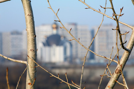 autumn landscape white stone church on the bank of the river on a background of a multistory buildingの写真素材