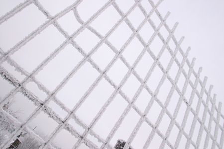winter landscape close-up of metal mesh fence and bushes thickly covered with frost misty morningの写真素材