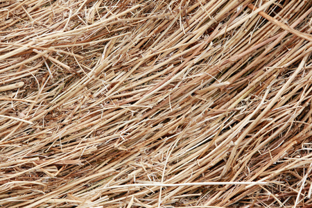 Macro texture of straw collected in a haystack in summer sunlight