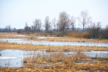 landscape ice drift on the river in early spring on a cloudy dayの写真素材