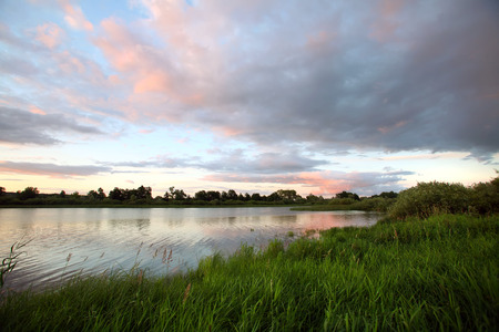 summer landscape beautiful pink sunset on the river and reeds near the shoreの写真素材