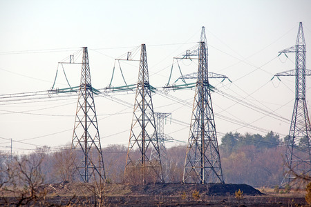 power lines near the forest with no leaves in early spring foggy morning