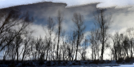 beautiful winter landscape reflection of trees in water quiet river on a cloudy day