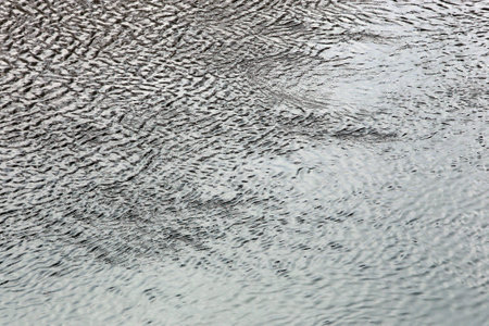 beautiful winter landscape reflection of trees in water quiet river on a cloudy day