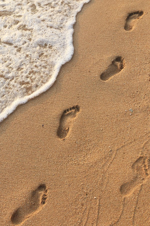 close-up of human footprints in the wet sand at the seaside