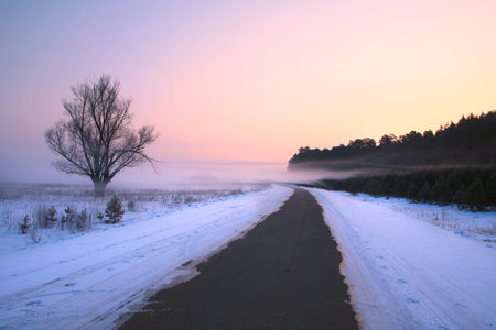 winter landscape misty dawn in the forest  frosty morningの写真素材