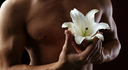 close-up delicate white lily in the hands against the background of naked torso, studio dark backgroundの写真素材