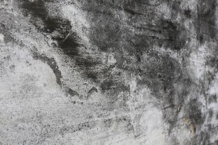 macro texture fragment of the old white-gray wall with moldの写真素材