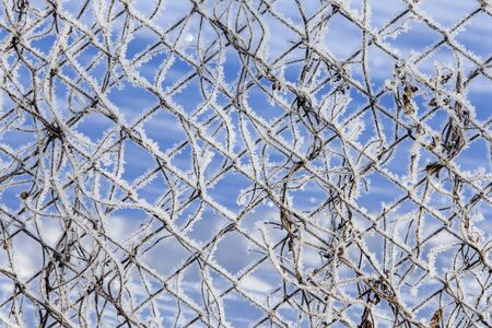 macro texture frost on a metal fenceの写真素材