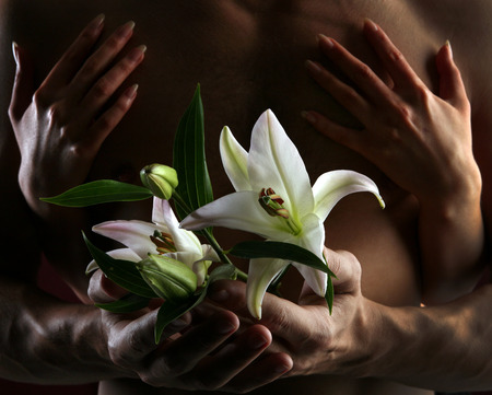 close-up of white lily in the hands against the background of a naked torso on dark background studioの写真素材