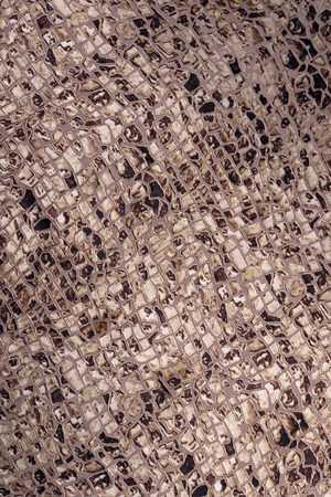 close-up texture fabric spotty colors studio